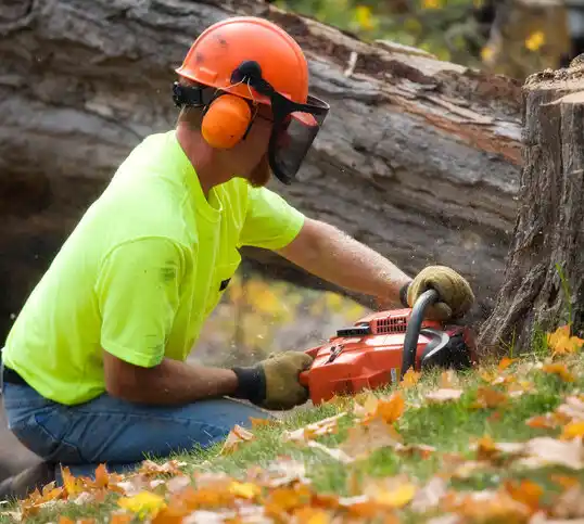 tree services Crystal Springs